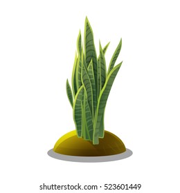 Cartoon wild plants. Vector illustration on white backgrounds.
