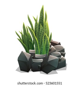 Cartoon wild plants. Vector illustration on white backgrounds.