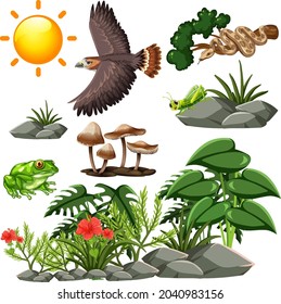 Cartoon wildlife seamless pattern with many different wild animals and plants illustration