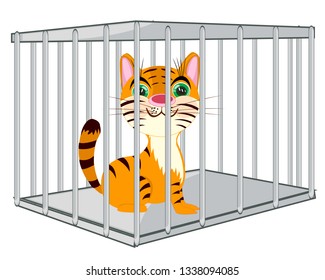 Cartoon of the wildlife tiger in steel hutch