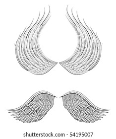 cartoon wings design