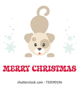 cartoon winter dog on a white background vector