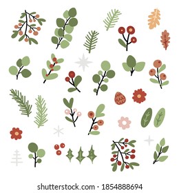 Cartoon winter leaves and branches collection. Floral twig, botanical branch with berry and leaves. Christmas holiday elements in vector.