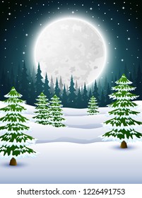 Cartoon of winter night background with pine trees at night