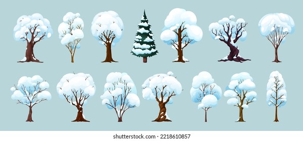 Cartoon winter trees, isolated vector wintertime forest and garden plants with snow on branches. Birch, spruce, oak, maple or elm in park or wood, natural seasonal winter landscape tree