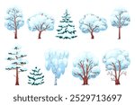 Cartoon winter trees. Snowy branches, coniferous and deciduous plants, christmas forest elements, pines, firs and birches, cold season nature. Vector flat style isolated illustration set