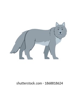 Cartoon Wolf auf weißem Hintergrund.Flache Cartoon-Illustration für Kinder.