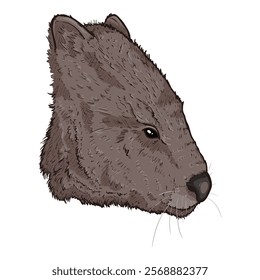 Cartoon Wombats Head Illustration. Side View