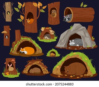 Cartoon woodland animals sleeping inside burrow, hollow, nest. Forest animals resting or hibernate, cute racoon, fox and beaver vector illustration set. Wood animals houses. Forest shelter and hollow