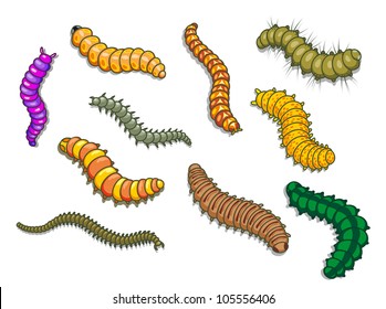 Cartoon worms and other insects. Vector illustration