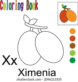 Cartoon Ximenia. Coloring book with a fruit theme. Vector illustration graphic. Good for children to learn and color.