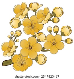 Cartoon Yellow apricot blossom branch 