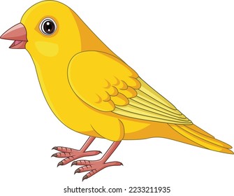 Cartoon Yellow Canary bird on White Background