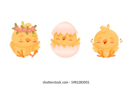 Cartoon Yellow Chicken Hatching from Cracked Egg and Laughing Vector Set
