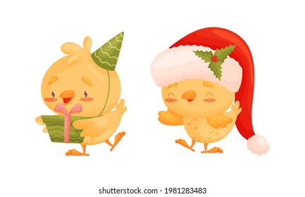 Cartoon Yellow Chicken Holding Gift Box and Wearing Santa Hat Vector Set
