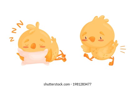 Cartoon Yellow Chicken Sleeping on Soft Pillow and Walking Vector Set