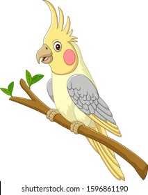 Cartoon yellow cockatiels sitting on a tree branch