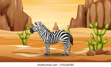 Cartoon a zebra living in the desert