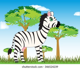 The Cartoon of the zebra on nature in savannah.Vector illustration