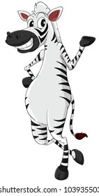 Cartoon zebra on white background