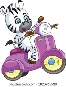 Cartoon zebra riding scooter on isolated white background