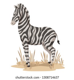 Cartoon zebra standing in grass