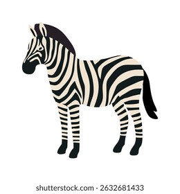 Cartoon zebra Standing in Profile View. Wild savannah animal