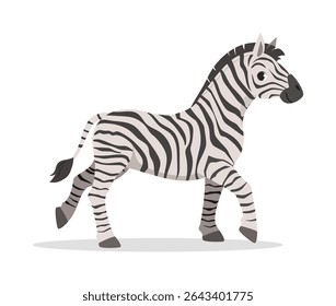 Cartoon Zebra Walking with Black and White Stripes on White Background Illustration