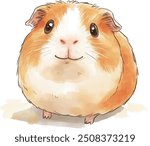 A cartoonish and child-friendly drawing on a white background. It features a simplified illustration of a Guinea Pig