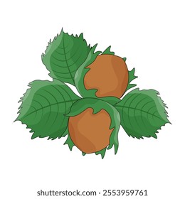 Cartoonish style Hazel Nut isolated white background. Simple Hazel Nut template design. Vector illustration can used packaging decor. EPS 10