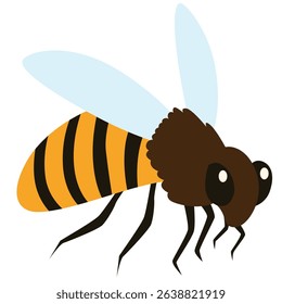 Cartoon-style adult bee with black-yellow stripes and light blue wings. Great for insect illustrations, nature themes, or beekeeping visuals.

