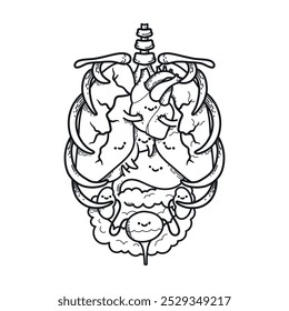 Cartoon-style human abdominal organs with smiling faces, great for digestive system education