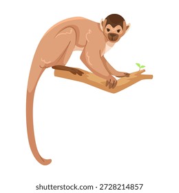 A cartoon-style monkey perched on a tree branch with a small green leaf, drawn in flat vector style on a white background. Concept of wildlife. Vector illustration
