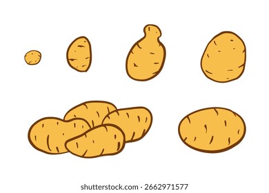 Cartoon-Stil Kartoffeln Set, verschiedene Größen, einzelne Knollen und kleinen Haufen, handgezeichnete Illustration einzeln auf Weiß, erdige Töne, fette klare Linien