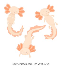 Cartoon-style vector drawing of three pink and beige axolotls in different poses on a white background 