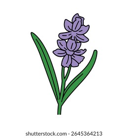 A cartoon-styled, isolated illustration showing a purple flower with black outlines, complemented by green leaves and a stem against a stark white backdrop.