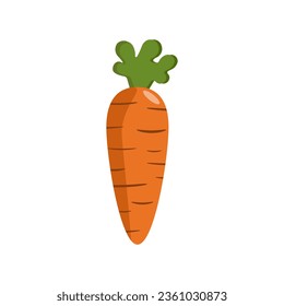 Cartoony carrot. Vector simple design. Autumn vegetable, vegetarian food.