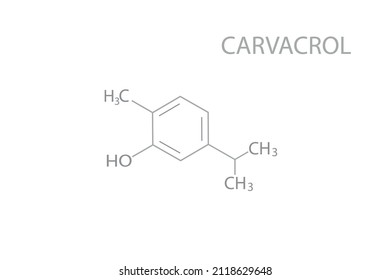 Carvacrol chemical molecular skeletal formula. Vector illustration.
