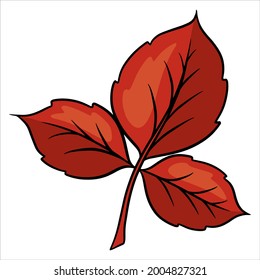 Carved autumn leaf. Nature bright leaves of trees. Cartoon style. Vector illustration for design and decoration.