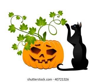 The carved face of pumpkin glowing on Halloween and black cat