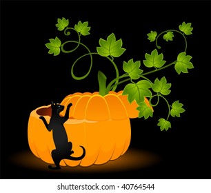 The carved face of pumpkin glowing on Halloween and black cat