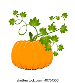  The carved face of pumpkin glowing on Halloween