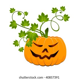  The carved face of pumpkin glowing on Halloween