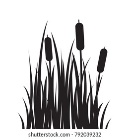 2,620 Illustration of bulrush Images, Stock Photos & Vectors | Shutterstock