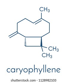 Caryophyllene molecule. Constituent of multiple herbal essential oils, including clove oil. Skeletal formula.