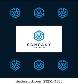 CAS hexagon logo vector. Hexagon logo design with two initials. Develop, natural, luxury, modern, finance logo, strong, suitable for your company.