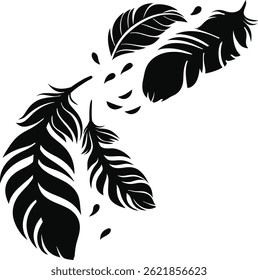 A cascade black silhouette feathers floating vector art