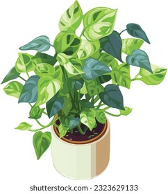 Cascading Elegance: Pothos in Pot - Indoor Green Trail