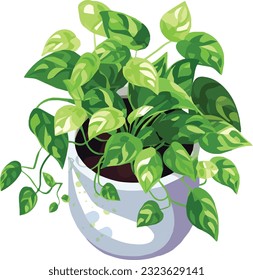 Cascading Elegante: Pothos in Pot - Indoor Green Trail