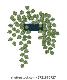 Planta de pothos em cascata no objeto de desenho 2D do pote. Planta doméstica em vaso com exuberantes vinhas à direita. Verde interior com folhas penduradas elemento isolado plana vetor clip art no branco. Ilustração pontual